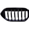 Parrilla de riñones BMW Serie 2 F44 Gran Coupé negro brillante lama simple (4)