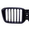Grillnyrer til BMW X3 G01 X4 G02 LCI single line