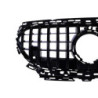 Grille compatibel met Mercedes E-Klasse W214 glanzend zwart
